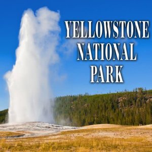 Sound Ideas的專輯Yellowstone National Park - Sound Effects