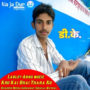 Listen to Kru Kai Bhai Thara Ko song with lyrics from Dilkhush Meena Ghunawat