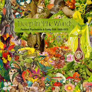 Various Artists的專輯Deep In The Woods: Pastoral Psychedelia & Funky Folk 1968-1975