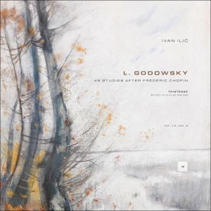 Frédéric Chopin的專輯48 Studies after Frédéric Chopin: 5. Study in D-Flat Major after Op. 10, No. 3 'Tristesse'