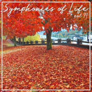 WDR Rundfunkchor Köln的專輯Symphonies of Life, Vol. 99