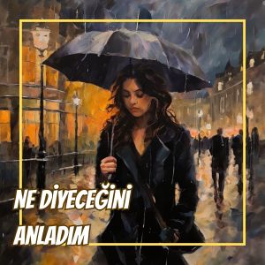 Melek的专辑Ne Diyeceğini Anladım