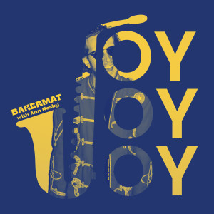 Album Joy (with Ann Nesby) oleh Bakermat