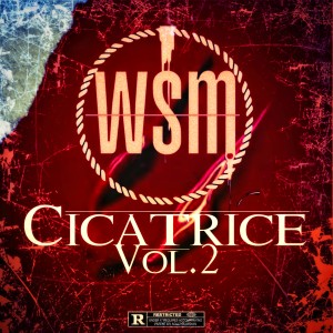 Listen to Regrets (Explicit) song with lyrics from Wsm