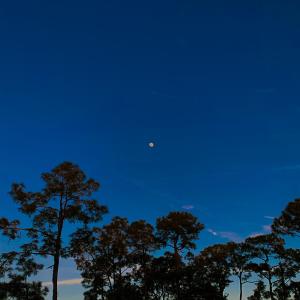 ดาวน์โหลดและฟังเพลง back & forth (Explicit) พร้อมเนื้อเพลงจาก lil ahay