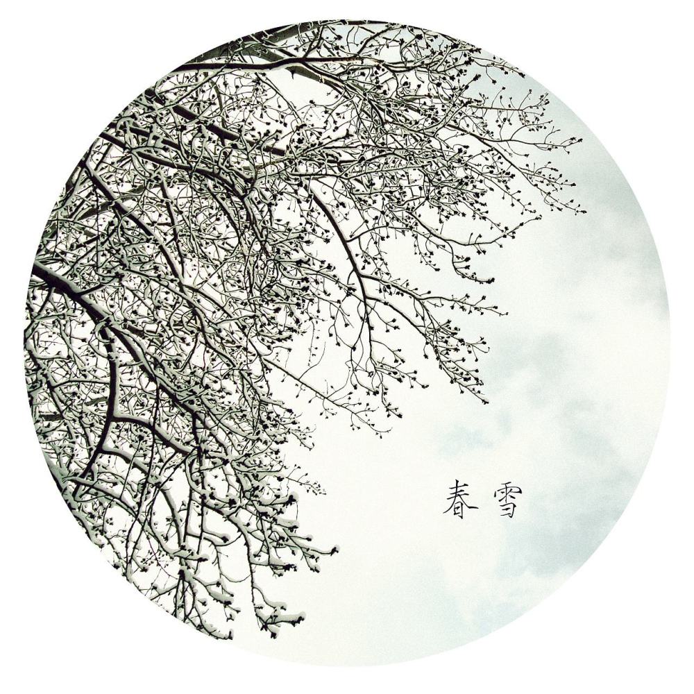 春雪