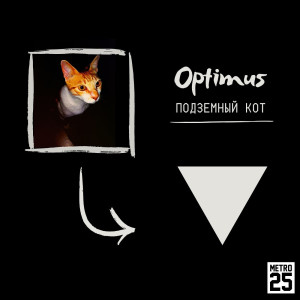 Album Подземный кот (Explicit) from Optimus