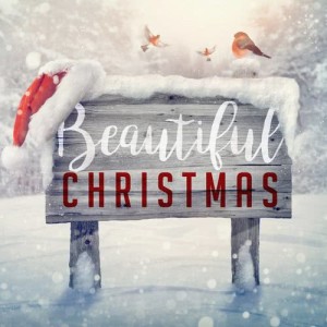 ดาวน์โหลดและฟังเพลง We Wish You a Merry Christmas พร้อมเนื้อเพลงจาก Tenebrae