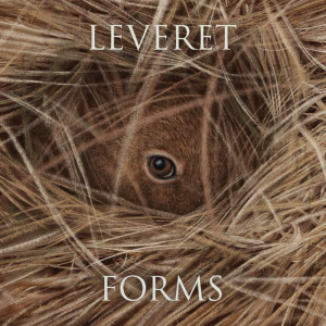 ดาวน์โหลดและฟังเพลง Oh the Days When I Was Young / Young Collins Rant พร้อมเนื้อเพลงจาก Leveret