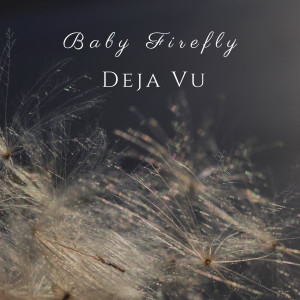 收聽Baby Firefly的Fly to the Moon歌詞歌曲