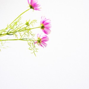 Listen to 海を横目に song with lyrics from Riu Domura
