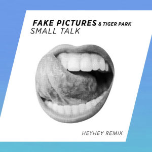 Fake Pictures的專輯Small Talk