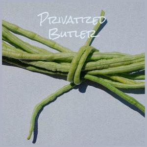 Album Privatized Butler from Various