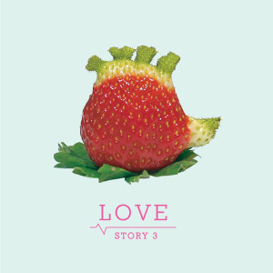 Various的專輯Love Story, Vol. 3