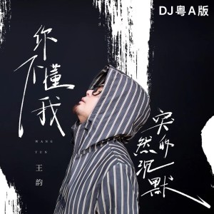 Album 你不懂我突然的沉默(DJ粤A版) from 王韵