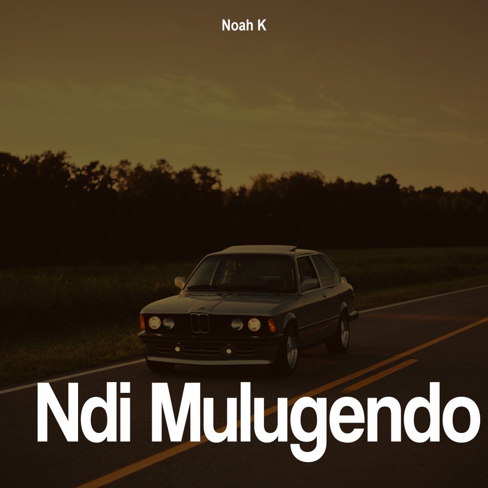 Ndi Mulugendo