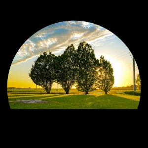 Listen to Mirage (English) song with lyrics from Chris Dj