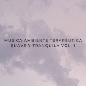 Musica pilates的专辑Música Ambiente Terapéutica Suave Y Tranquila Vol. 1