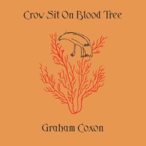 ดาวน์โหลดและฟังเพลง You Never Will Be (Explicit) พร้อมเนื้อเพลงจาก Graham Coxon