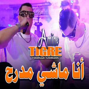 Listen to أنا ماشي مدرح song with lyrics from Cheb Amine Tigre