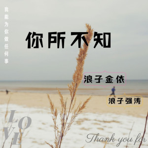 Listen to 你所不知 song with lyrics from 浪子强涛