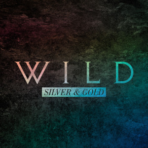 ดาวน์โหลดและฟังเพลง Silver & Gold พร้อมเนื้อเพลงจาก Wild