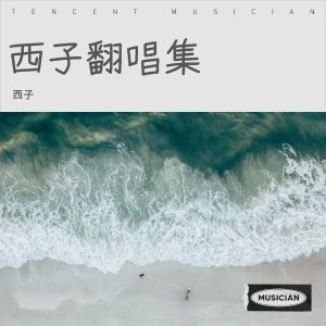 收聽西子的夜空中最亮的星 (cover: 逃跑計劃) (完整版)歌詞歌曲