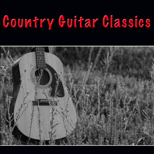 Listen to Barber Shop Rag song with lyrics from Chet Atkins