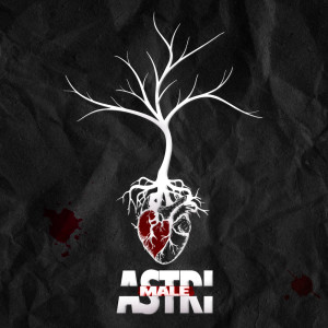 Listen to Male (Explicit) song with lyrics from Astri