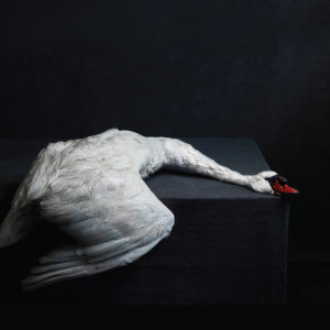 Listen to Children of the Eye song with lyrics from Amenra