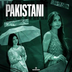 Listen to Pakistani (Explicit) song with lyrics from Skengz