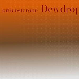 Album Corticosterone Dewdrop from Various