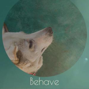 Album Behave from 