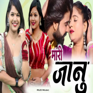Album Mari Janu from Raju Mewadi
