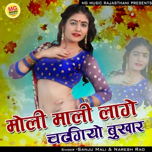 Listen to Moli Mali Lage Chadgiyo Bhukhar song with lyrics from Sanju Mali