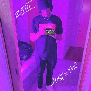 Album Just the Two (Explicit) from Zedi