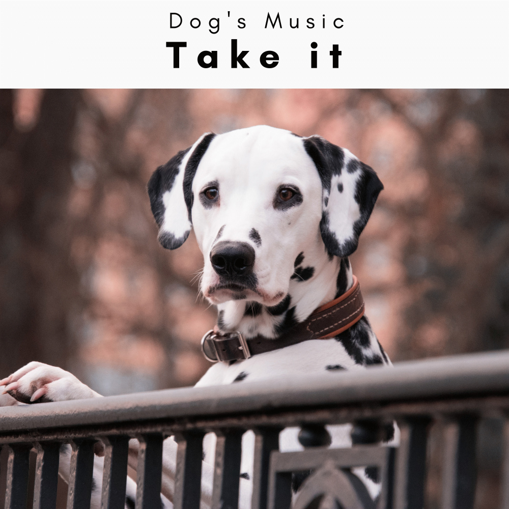 Relaxing Music for Cheerful Doggie