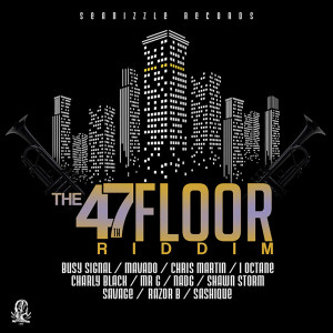 Album 47th Floor Riddim from Seanizzle