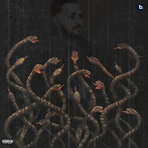 Listen to Snake (Explicit) song with lyrics from cheema y