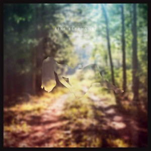 ดาวน์โหลดและฟังเพลง Follow Me พร้อมเนื้อเพลงจาก Like Elephants
