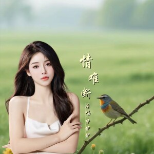 晓朋的专辑情难断DJ