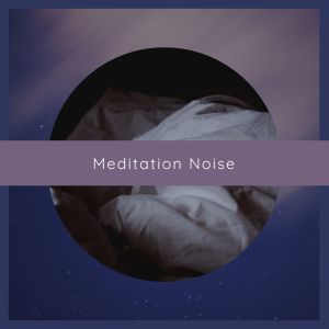 Delaware Saints的專輯Meditation Noise