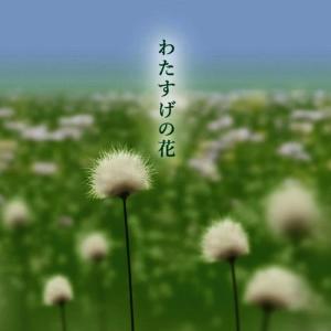 收聽Kozue的Watasuge No Hana歌詞歌曲