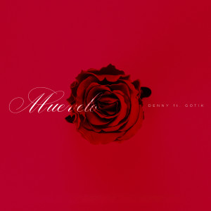 Listen to Muevelo song with lyrics from Denny