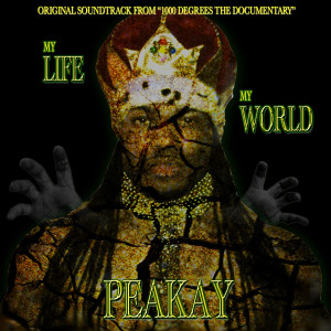 Listen to Get the Paper song with lyrics from Peakay