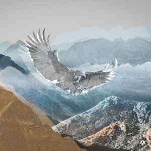 Listen to Wingspan song with lyrics from Paklite