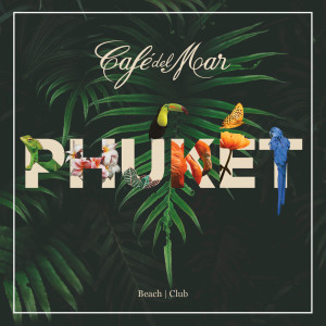 ดาวน์โหลดและฟังเพลง Saddle Up (Crazibiza Magenta Remix|Mixed) พร้อมเนื้อเพลงจาก Traumton