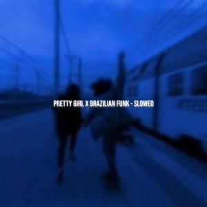 ดาวน์โหลดและฟังเพลง Pretty Girl (Brazilian Funk Slowed) พร้อมเนื้อเพลงจาก Novax