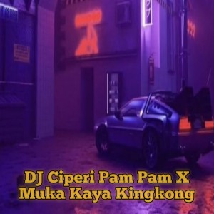DJ Ciperi Pam Pam X Muka Kaya Kingkong dari Dj Alfaris