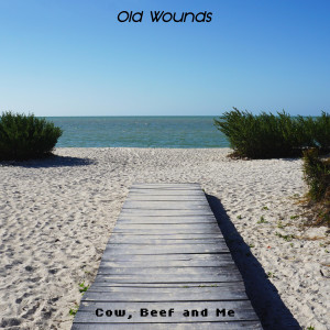 Cow的专辑Old Wounds
